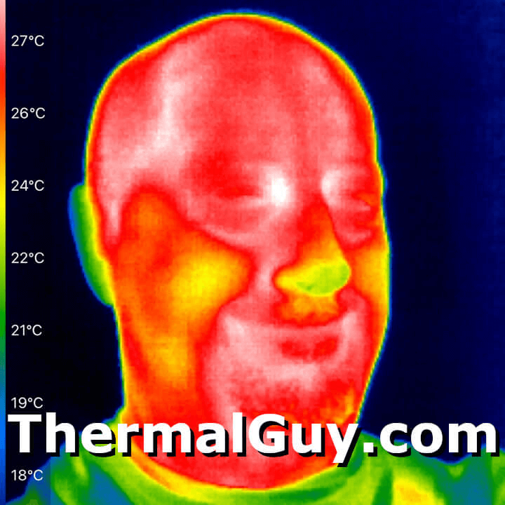 Thermal Guy Logo